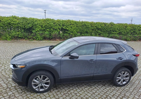 Mazda CX-30 cena 109900 przebieg: 36340, rok produkcji 2021 z Wrocław małe 172